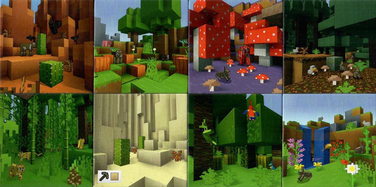 Privátní: Minecraft - Heroes of the Village - země 2.jpg